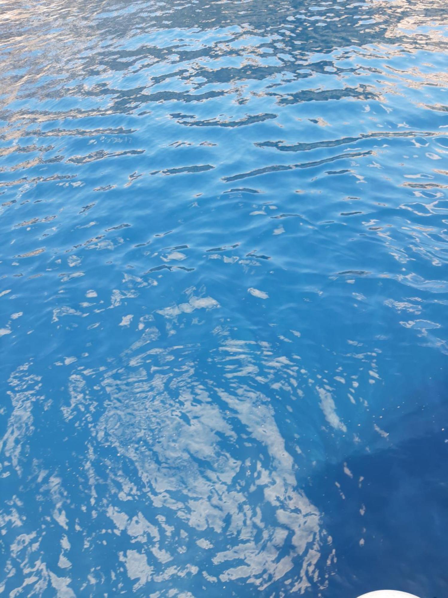 Villa Aurelia Zadar Dış mekan fotoğraf