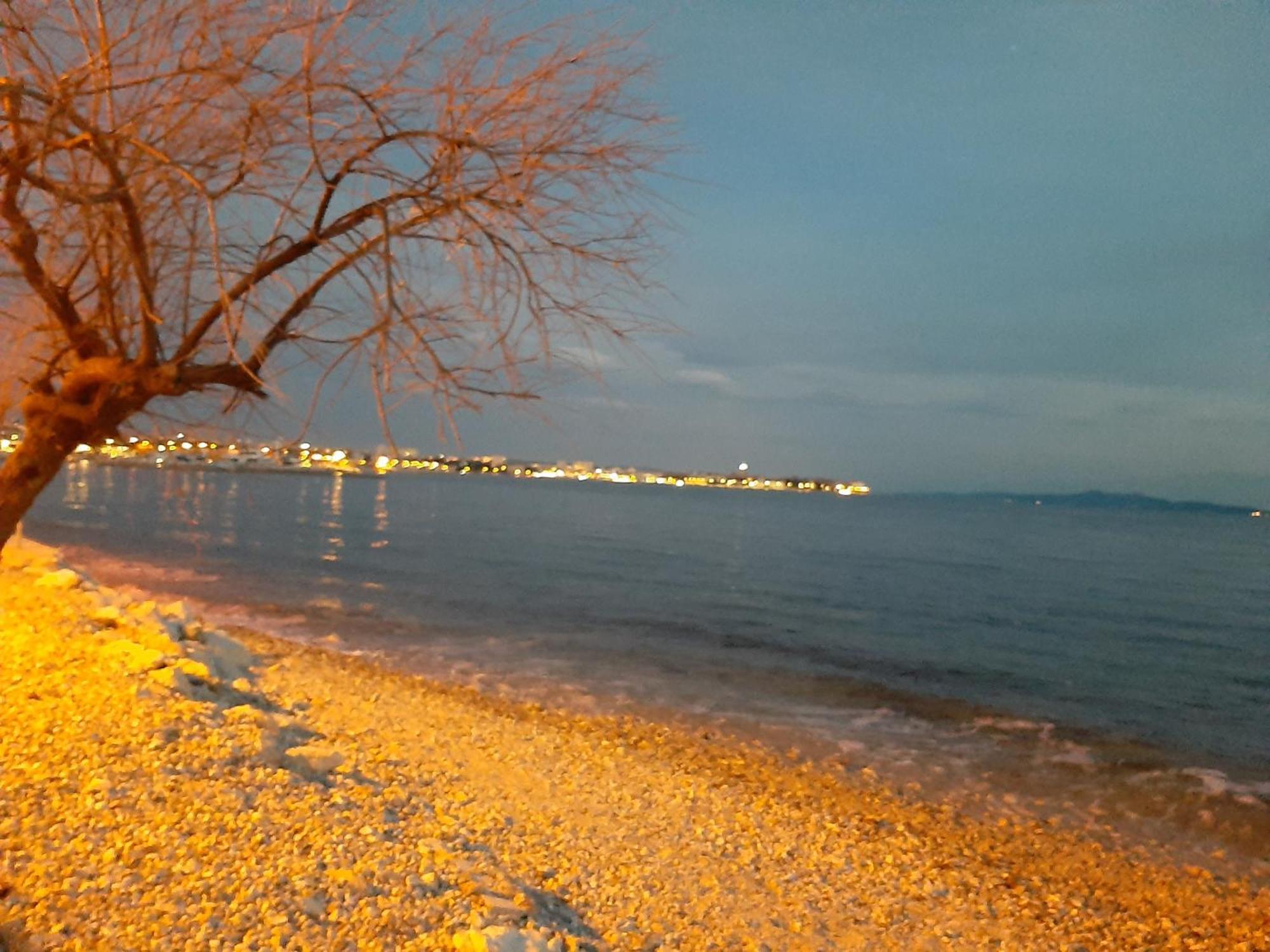Villa Aurelia Zadar Dış mekan fotoğraf